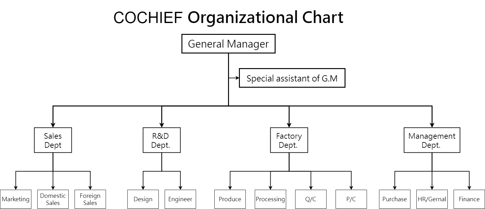 Organisationsdiagramm